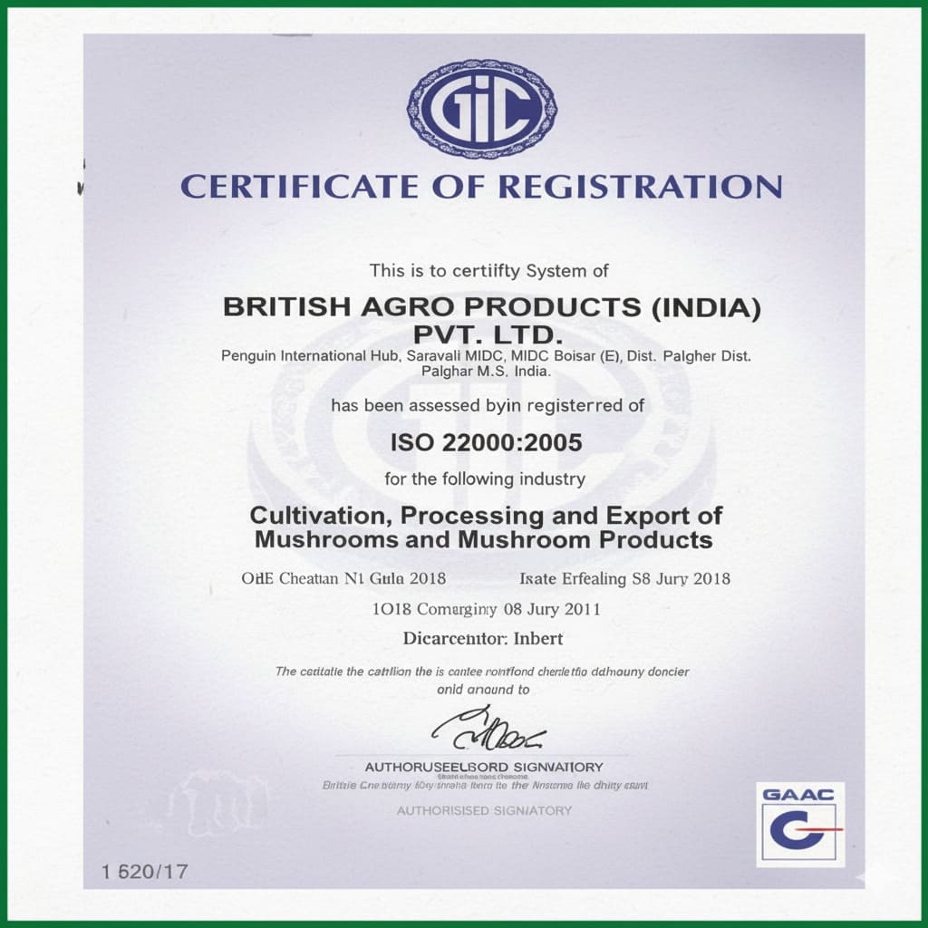 Certificate 2